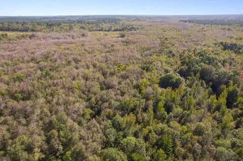 83 Bill Willis Rd, Union, MS 39365 photo 9