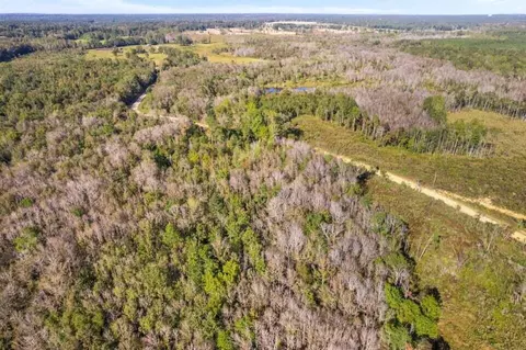 83 Bill Willis Rd, Union, MS 39365 photo 12