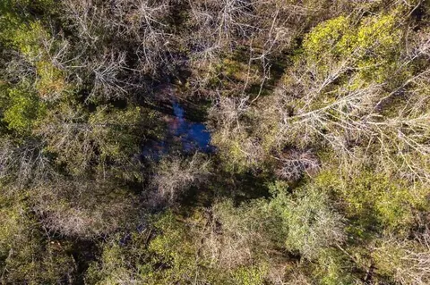 83 Bill Willis Rd, Union, MS 39365 photo 14