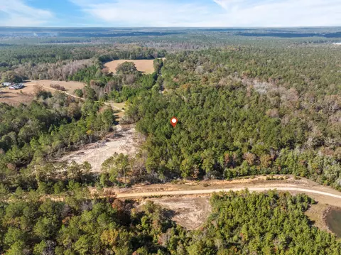 00 Springhill School Rd, Collins, MS 39428 photo 11