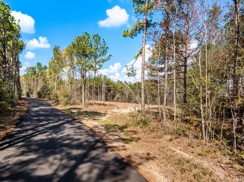 00 Springhill School Rd, Collins, MS 39428 photo 4