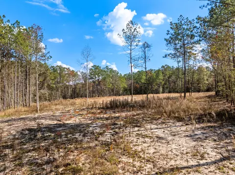 00 Springhill School Rd, Collins, MS 39428 photo 7