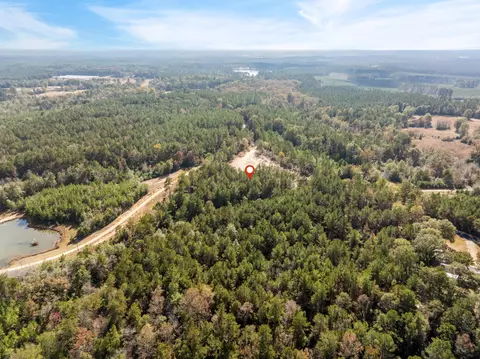 00 Springhill School Rd, Collins, MS 39428 photo 13