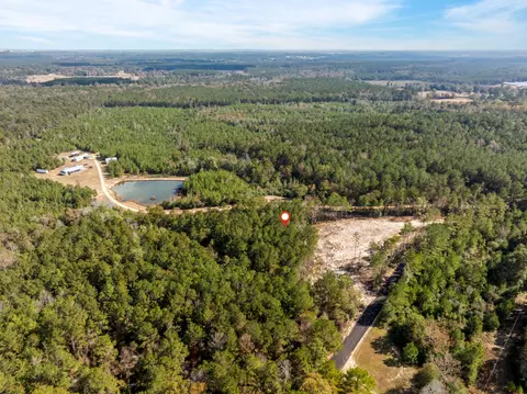 00 Springhill School Rd, Collins, MS 39428 photo 15