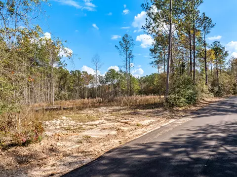 00 Springhill School Rd, Collins, MS 39428
