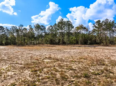 00 Springhill School Rd, Collins, MS 39428 photo 6