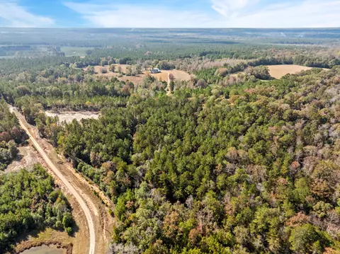 00 Springhill School Rd, Collins, MS 39428 photo 12