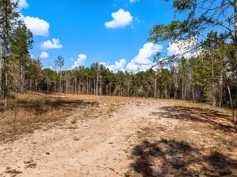 00 Springhill School Rd, Collins, MS 39428 photo 5