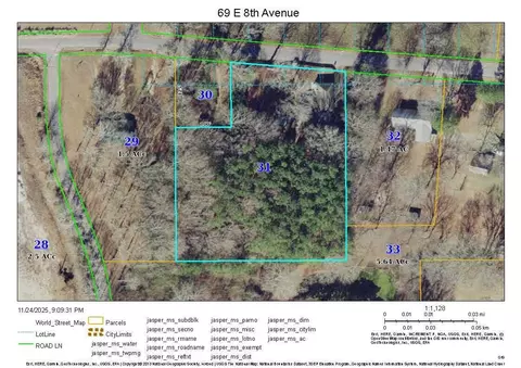 View/Area - 69 E 8th Ave, Bay Springs, MS 39422 photo 1 of 1