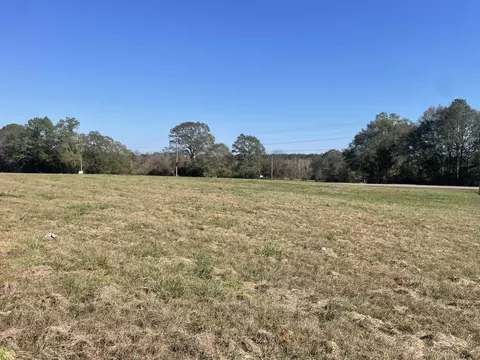 lot1 Sinclair Rd-ms-35, Columbia, MS 39429