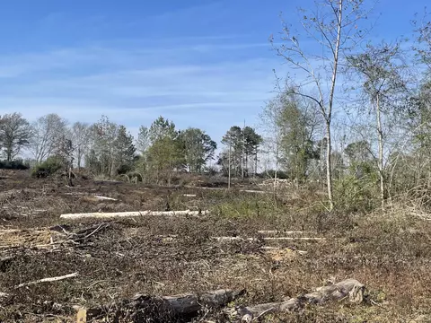 lot2 Sinclair Rd, Columbia, MS 39429