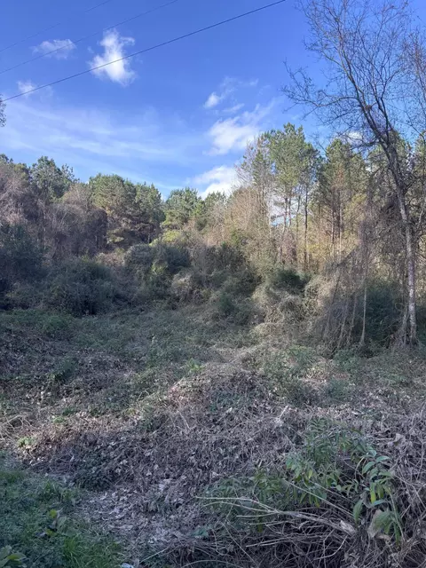 00 Jones Rd, Foxworth, MS 39483