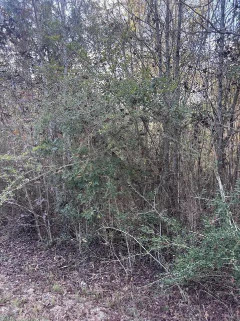 00 Williams Cutoff, Sumrall, MS 39482 photo 7