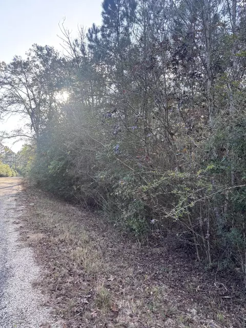 00 Williams Cutoff, Sumrall, MS 39482 photo 6