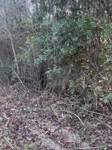 00 Williams Cutoff, Sumrall, MS 39482 photo 5
