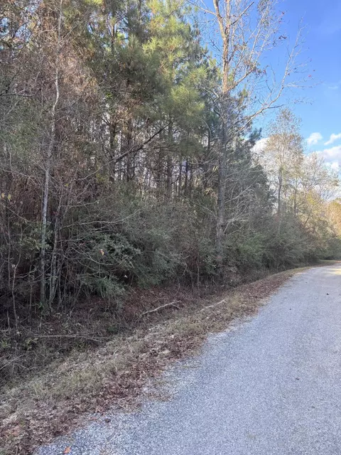 00 Williams Cutoff, Sumrall, MS 39482
