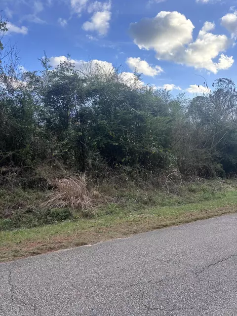 00 Phillips Rd, Sumrall, MS 39482