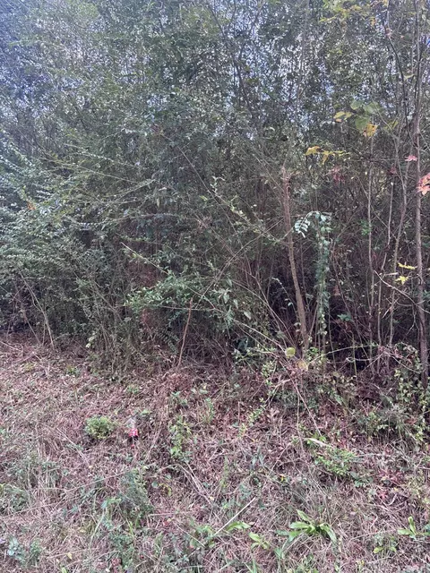 00 Phillips Rd, Sumrall, MS 39482 photo 6