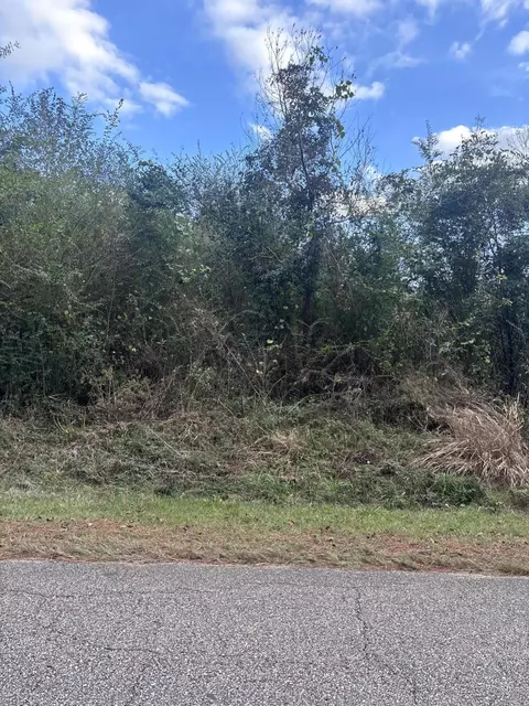 00 Phillips Rd, Sumrall, MS 39482 photo 2
