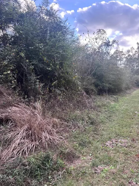 00 Phillips Rd, Sumrall, MS 39482 photo 9