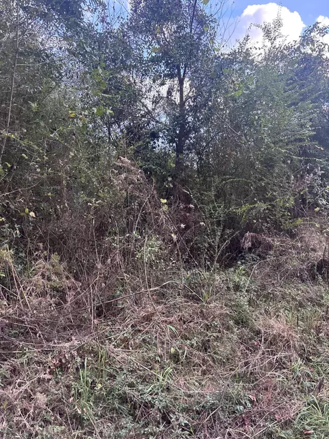 00 Phillips Rd, Sumrall, MS 39482 photo 8