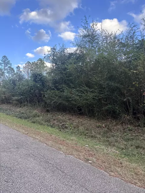 00 Phillips Rd, Sumrall, MS 39482 photo 3