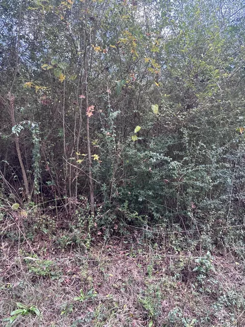 00 Phillips Rd, Sumrall, MS 39482 photo 7