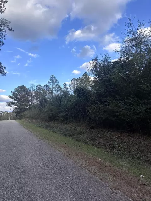 00 Phillips Rd, Sumrall, MS 39482 photo 4