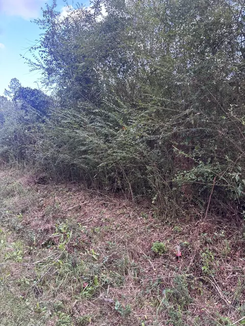 00 Phillips Rd, Sumrall, MS 39482 photo 5