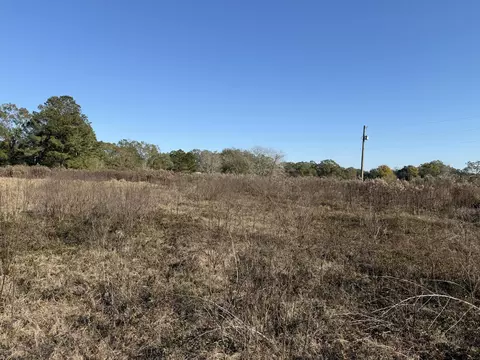 1 52 Acre Crenshaw Rd, Lucedale, MS 39452 photo 2