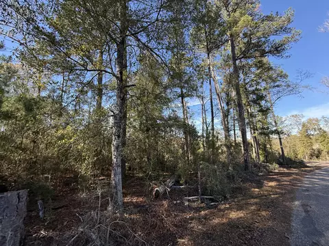0 Corner Firetower County Line Rd, Columbia, MS 39429 photo 9
