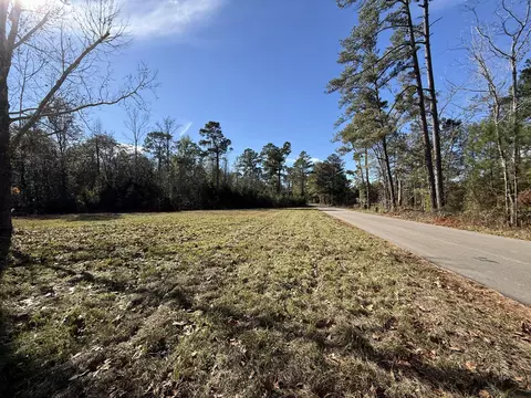 0 Corner Firetower County Line Rd, Columbia, MS 39429 photo 6