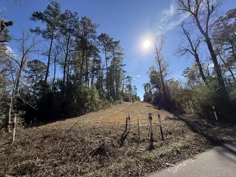 0 Corner Firetower County Line Rd, Columbia, MS 39429 photo 13