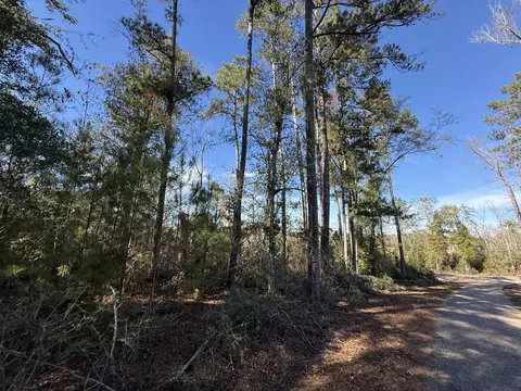 0 Corner Firetower County Line Rd, Columbia, MS 39429 photo 10