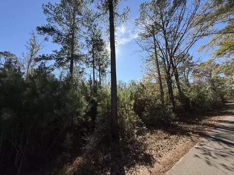 0 Corner Firetower County Line Rd, Columbia, MS 39429 photo 14