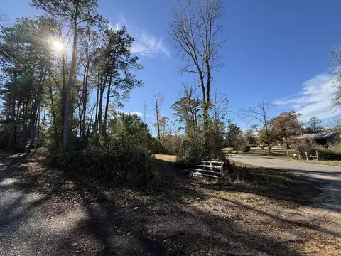 0 Corner Firetower County Line Rd, Columbia, MS 39429 photo 11