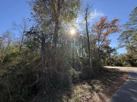 0 Corner Firetower County Line Rd, Columbia, MS 39429 photo 15