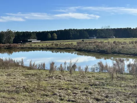 481 Shoemake Rd, Ovett, MS 39464