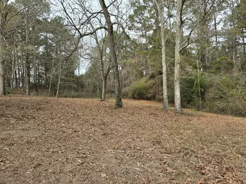 65 Ogwynn Rd, Sumrall, MS 39482 photo 8