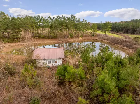 View/Area - 370 Co Rd 7, Stringer, MS 39481 photo 1 of 7