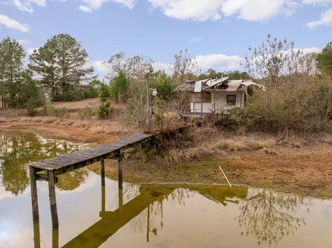 View/Area - 370 Co Rd 7, Stringer, MS 39481 photo 2 of 7