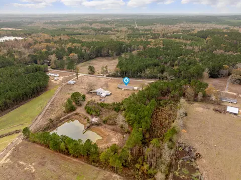 View/Area - 370 Co Rd 7, Stringer, MS 39481 photo 4 of 7