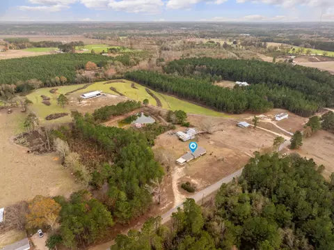View/Area - 370 Co Rd 7, Stringer, MS 39481 photo 6 of 7