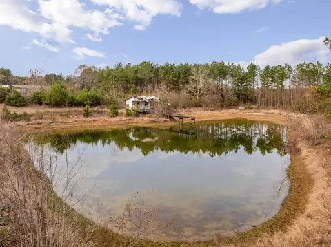 View/Area - 370 Co Rd 7, Stringer, MS 39481 photo 3 of 7