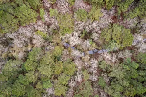 0 Hwy 44, Sumrall, MS 39482 photo 11