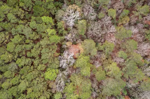 0 Hwy 44, Sumrall, MS 39482 photo 10