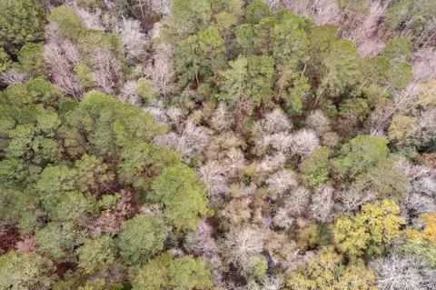 0 Hwy 44, Sumrall, MS 39482 photo 12