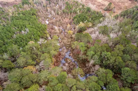 0 Hwy 44, Sumrall, MS 39482 photo 14