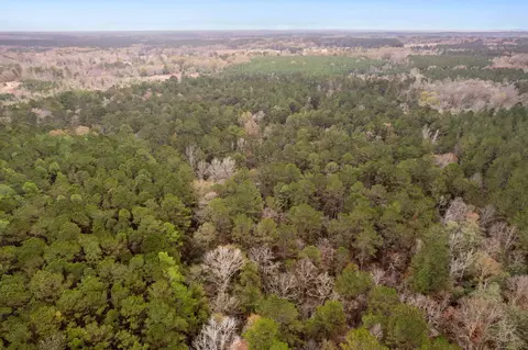 0 Hwy 44, Sumrall, MS 39482 photo 4