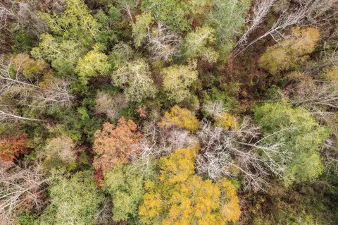 0 Phillips Rd, Sumrall, MS 39482 photo 13